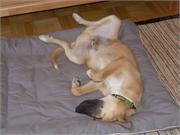 19) Duffy turnt 3